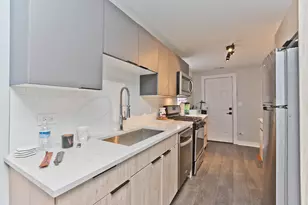 1702 S Morgan St, Chicago, IL 60608 - Photo 6