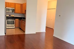17 W 35th St, Chicago, IL 60616 - Photo 10