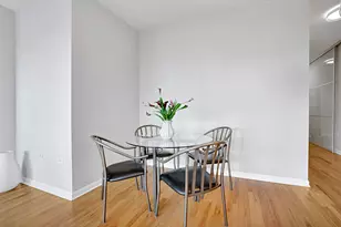 1717 S Prairie Ave, Chicago, IL 60616 - Photo 8