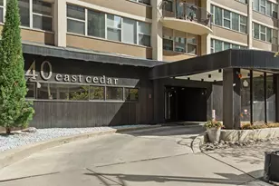 40 E Cedar St, Chicago, IL 60611 - Photo 26