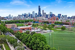 1033 W 14th Pl, Chicago, IL 60608 - Photo 20