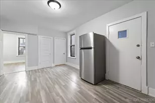2142 W 18th St, Chicago, IL 60608 - Photo 20
