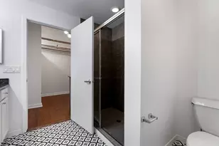 1001 W 15th St, Chicago, IL 60608 - Photo 10