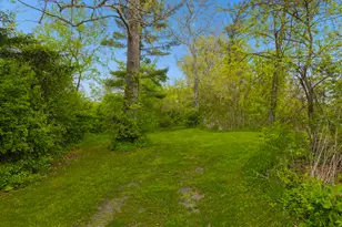 931 E Steger Rd, Steger, IL 60475 - Photo 12