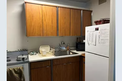 260 E Chestnut Street #1106, Chicago, IL 60611 - Photo 8
