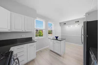 1038 Susan Collin Lane, Oak Park, IL 60302 - Photo 14