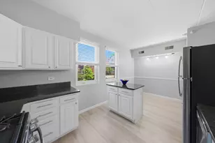 1038 Susan Collin Ln, Oak Park, IL 60302 - Photo 14