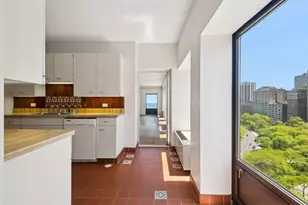1100 N Lake Shore Dr, Chicago, IL 60611 - Photo 8