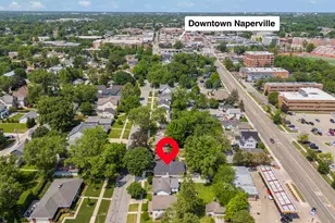 648 S Main St, Naperville, IL 60540 - Photo 36