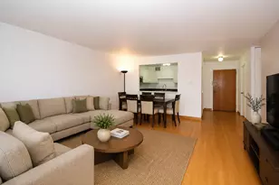 211 E Ohio St, Chicago, IL 60611 - Photo 10