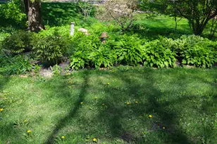 1 Sunset Ave, West Chicago, IL 60185 - Photo 68