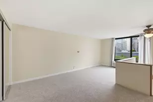 1221 N Dearborn St, Chicago, IL 60610 - Photo 10