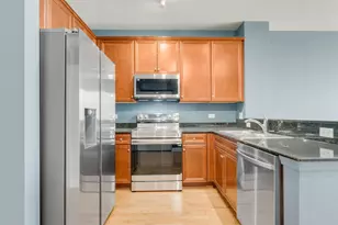 1901 S Calumet Ave, Chicago, IL 60616 - Photo 6
