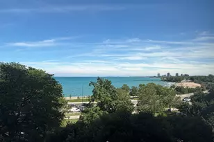 5530 S South Shore Dr, Chicago, IL 60637 - Photo 12
