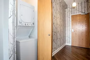 41 E 8th St, Chicago, IL 60605 - Photo 12