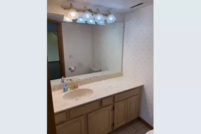 223 Williamsburg Court, Montgomery, IL 60538 - Photo 26