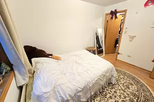 2604 S Emerald Ave, Chicago, IL 60616 - Photo 14
