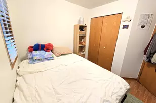 2604 S Emerald Ave, Chicago, IL 60616 - Photo 12