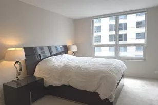 401 E Ontario St, Chicago, IL 60611 - Photo 10