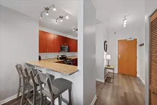 757 N Orleans St, Chicago, IL 60654 - Photo 8