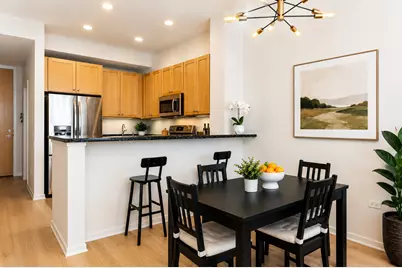 500 W Superior Street #604, Chicago, IL 60654 - Photo 4