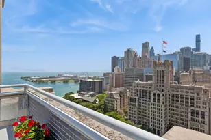 222 E Pearson St, Chicago, IL 60611 - Photo 20
