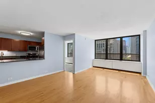 222 E Pearson St, Chicago, IL 60611 - Photo 8