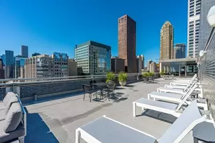 222 E Pearson St, Chicago, IL 60611 - Photo 24
