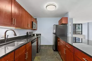 222 E Pearson St, Chicago, IL 60611 - Photo 10
