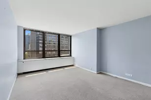 222 E Pearson St, Chicago, IL 60611 - Photo 14