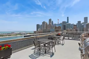 222 E Pearson St, Chicago, IL 60611 - Photo 22