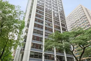 222 E Pearson St, Chicago, IL 60611 - Photo 2