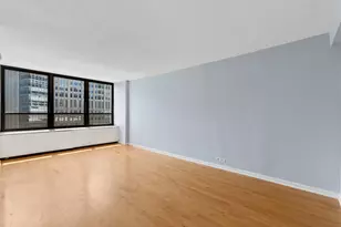 222 E Pearson St, Chicago, IL 60611 - Photo 4