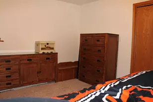 315 Coaler Dr, Coal City, IL 60416 - Photo 14