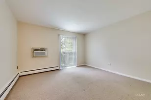 337 N Carter St, Palatine, IL 60067 - Photo 10