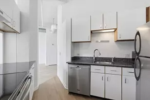 124 W Polk St, Chicago, IL 60605 - Photo 10
