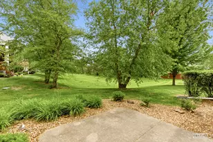 16747 Winding Creek Rd, Plainfield, IL 60586 - Photo 28