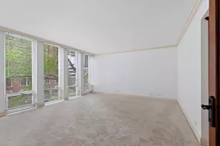 200 E Delaware Pl, Chicago, IL 60611 - Photo 30