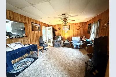55 Ellen Street, Cypress, IL 62923 - Photo 6
