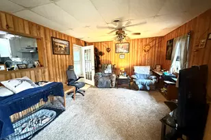 55 Ellen St, Cypress, IL 62923 - Photo 6