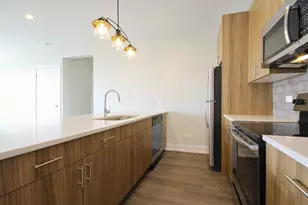 2111 S Halsted St, Chicago, IL 60608 - Photo 8