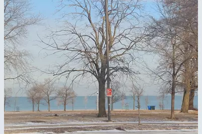 4625 S Michigan Avenue #3, Chicago, IL 60653 - Photo 22