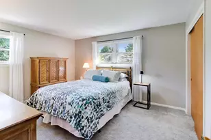 905 S School St, Mount Prospect, IL 60056 - Photo 16