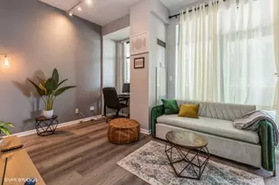 340 W Superior St, Chicago, IL 60654 - Photo 4