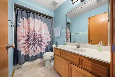 21229 Sophia Drive, Matteson, IL 60443 - Photo 26