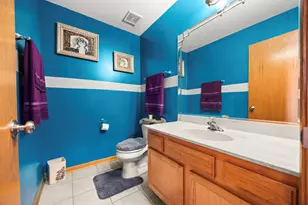 21229 Sophia Dr, Matteson, IL 60443 - Photo 8