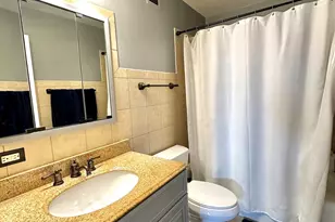 141 N La Grange Rd, La Grange, IL 60525 - Photo 10
