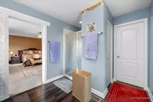 730 Charismatic Dr, Oswego, IL 60543 - Photo 24
