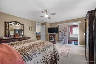 730 Charismatic Dr, Oswego, IL 60543 - Photo 22
