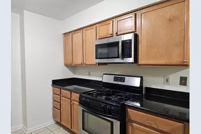 833 Village Quarter Road #G5, West Dundee, IL 60118 - Photo 10